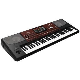 Korg PA700 Teclado Arranger Profesional 61 Teclas
