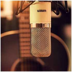 Microfono Condenser Warm Audio WA251 Valvular - Image 5