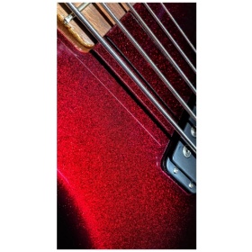 Bajo Electrico G&L L2500 Bass Series de 5 Cuerdas con Estuche GyL USA - Image 6