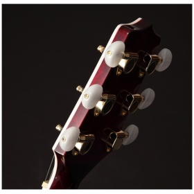 Guitarra Electroacustica Takamine GN75ce Single Cut - Image 3