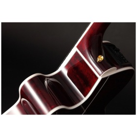 Guitarra Electroacustica Takamine GN75ce Single Cut - Image 6