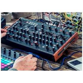 Sintetizador Modular Novation Peak Polifonico - Image 4