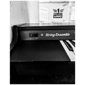 Solina String Ensamble - Image 4