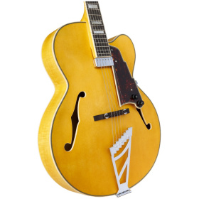 Guitarra Electrica Dangelico Premier EXL 1 Hollow