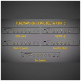 Amplificador Supro Delta King 12 Combo Valvular con Reverb 15W - Image 10