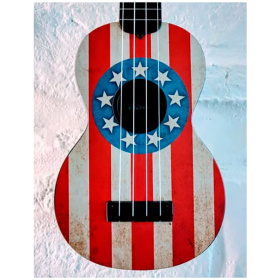 Ukelele Kala Ukadelic Soprano - Diseños varios con Funda - Image 2