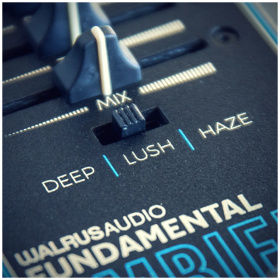 Pedal Walrus Audio Fundamental Series Ambient - Image 6