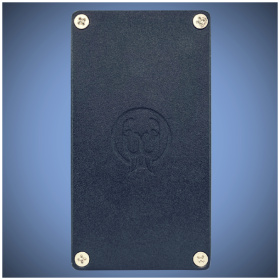 Pedal Walrus Audio Fundamental Series Ambient - Image 7