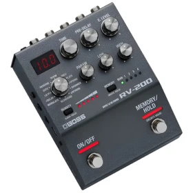 Boss RV200