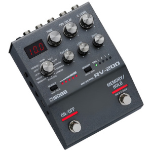Boss RV200