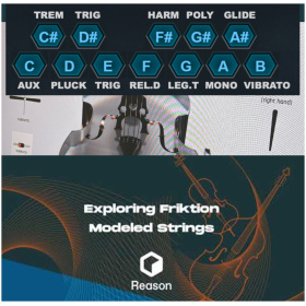 Software Friktion Modeled Strings Plugin add on para Reason 13 - Licencia Oficial - Image 8