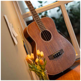 Bajo Acustico Cort Ab590mf De 4 Cuerdas - Image 2